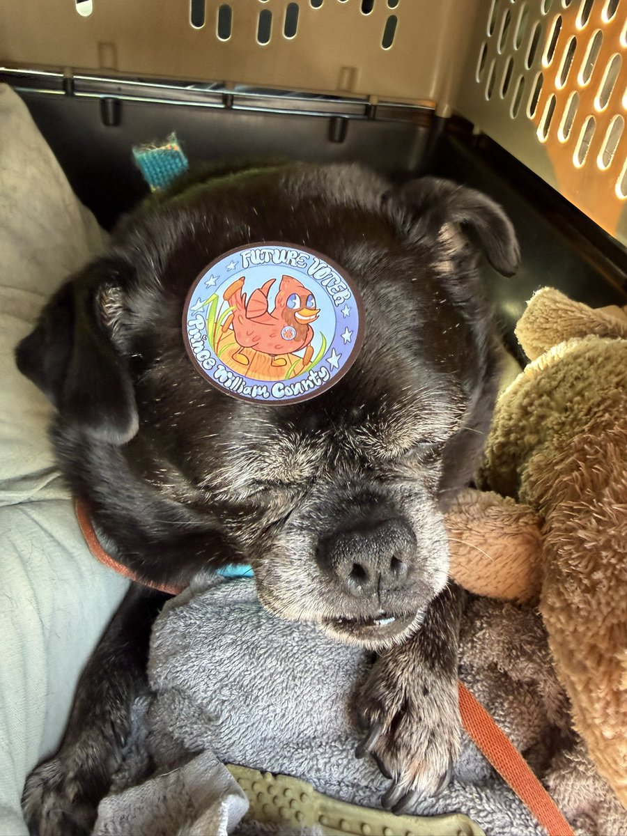 Ethan Damon tweet media