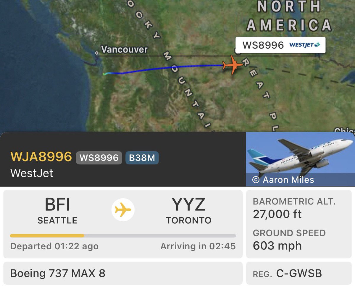 🛫✈️Nik's News✈️🛬 tweet media