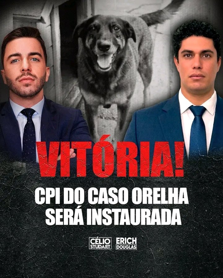 Obrigada pelo seu empenho no caso do Orelha

#JustiçaPorOrelha