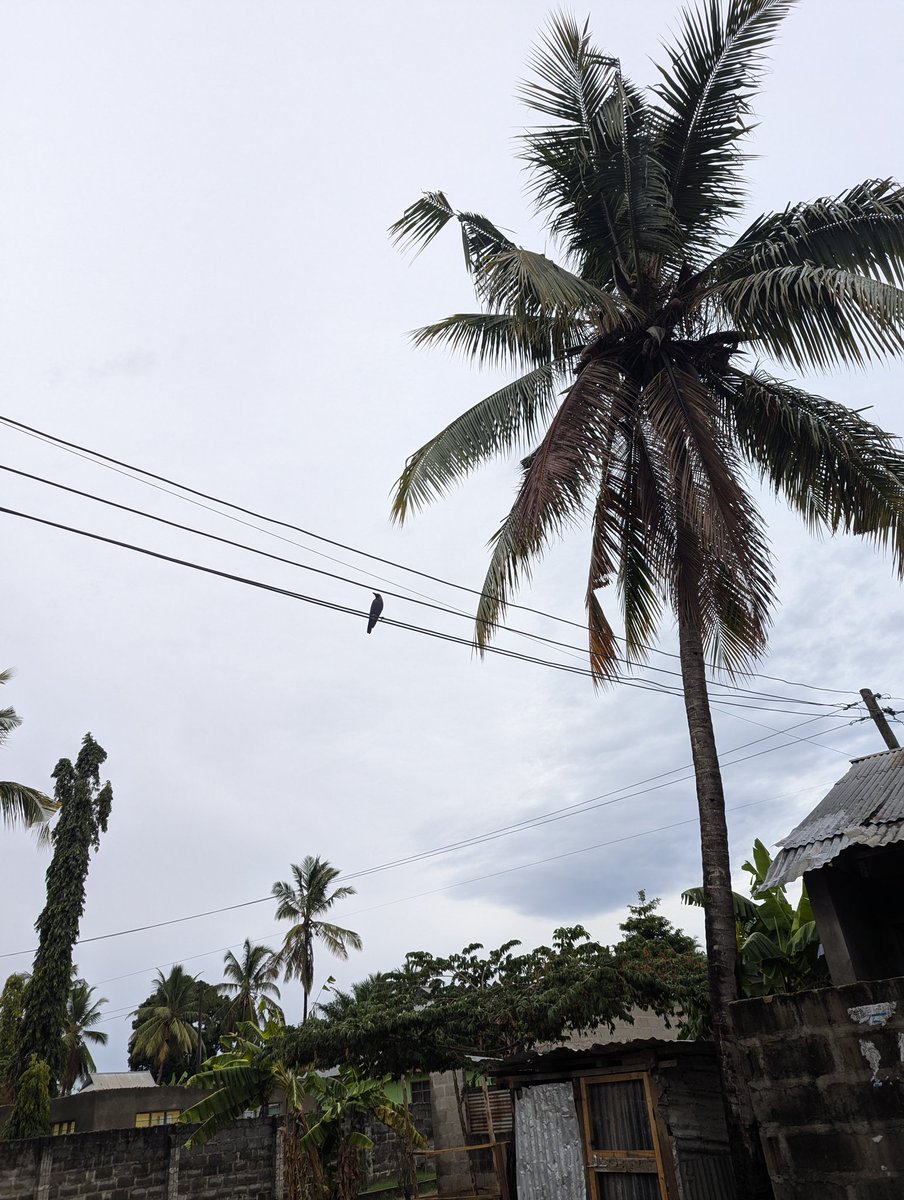 INFINITY tweet media