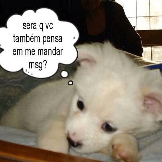 willwill tweet media