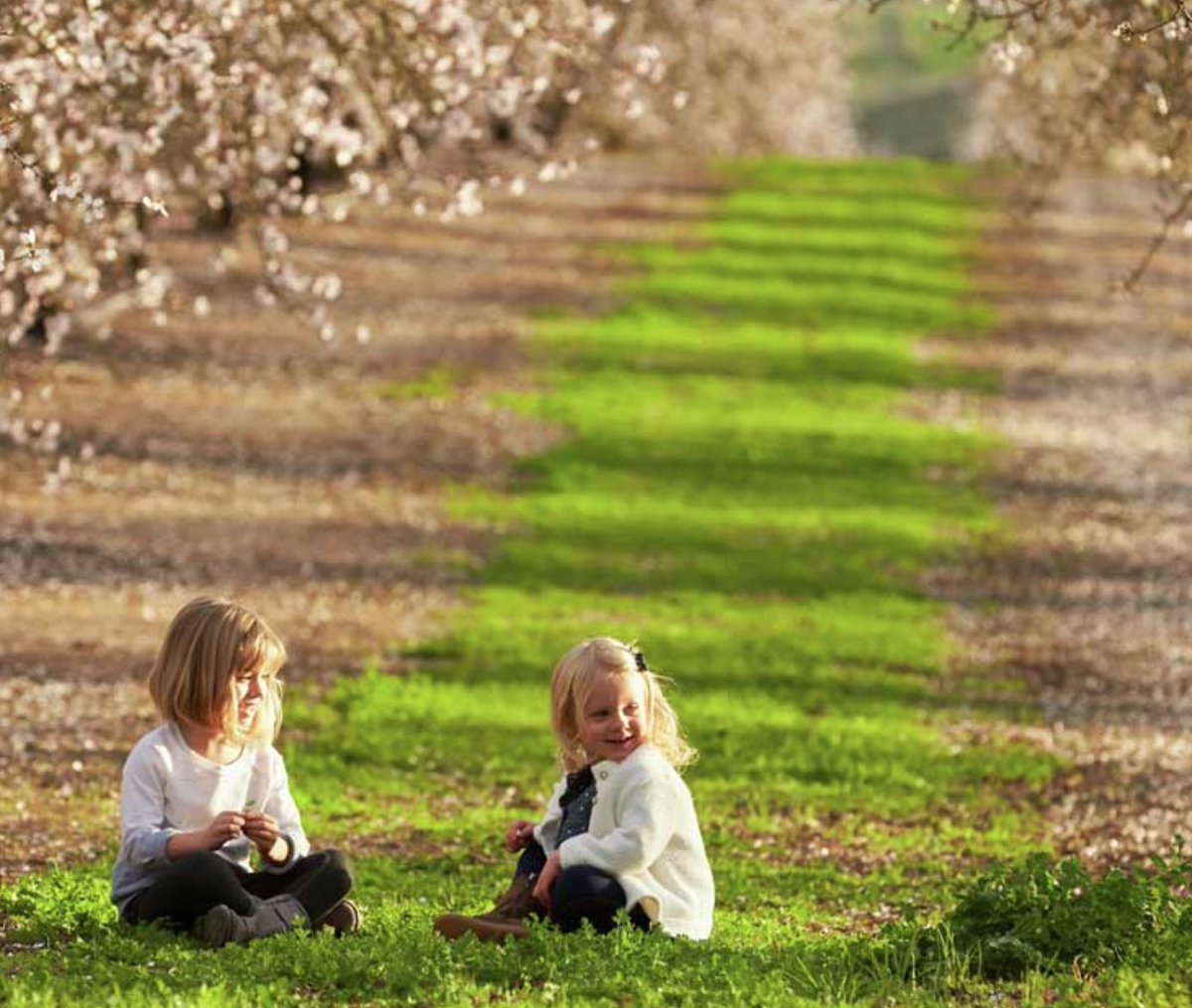 Sierra Valley Almonds tweet media