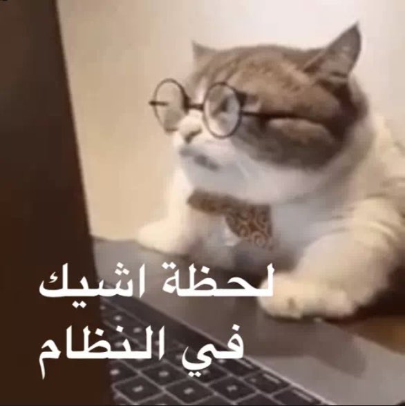 Tasneem tweet media