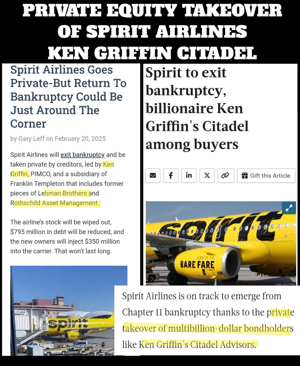 Stephanie 🇬🇧🇺🇸🦍 tweet media