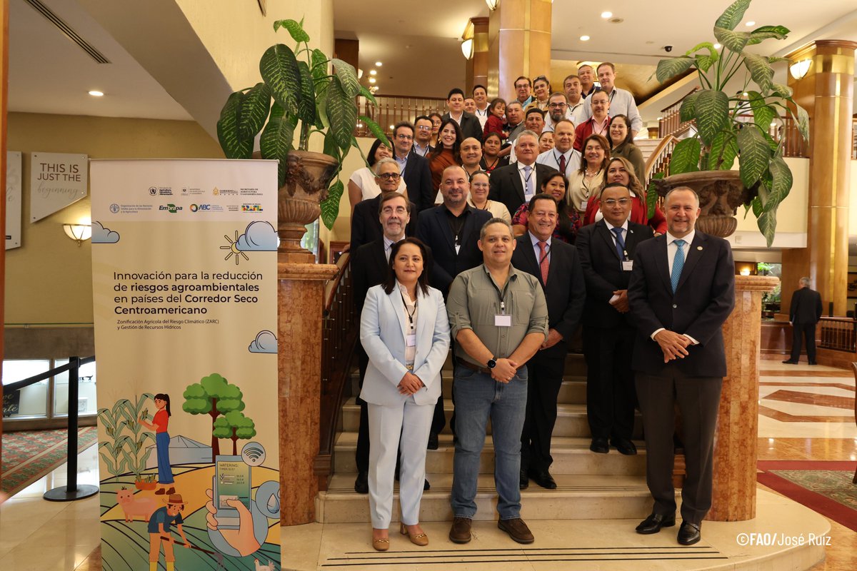 FAO El Salvador tweet media