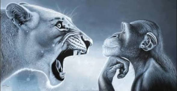 ragebait tweet media