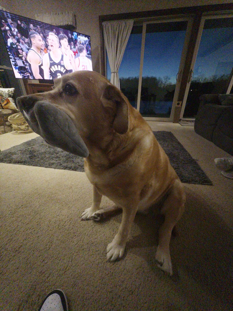 _dreet's tweet photo. @RyanLeffert2 Hoosier’s 11 today https://t.co/Lf4KGpzz5N