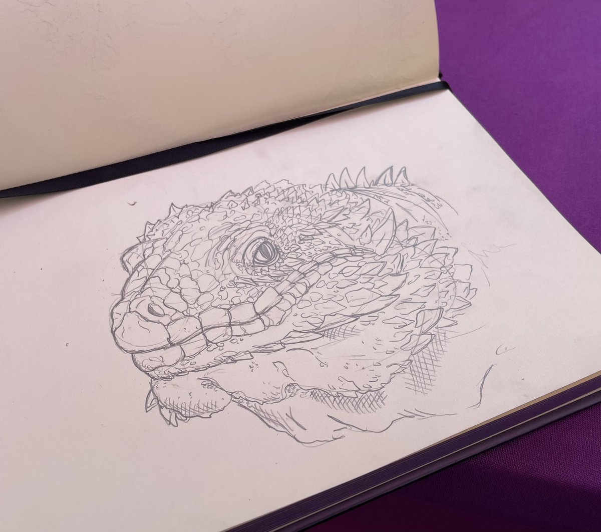 Katscales86 tweet media