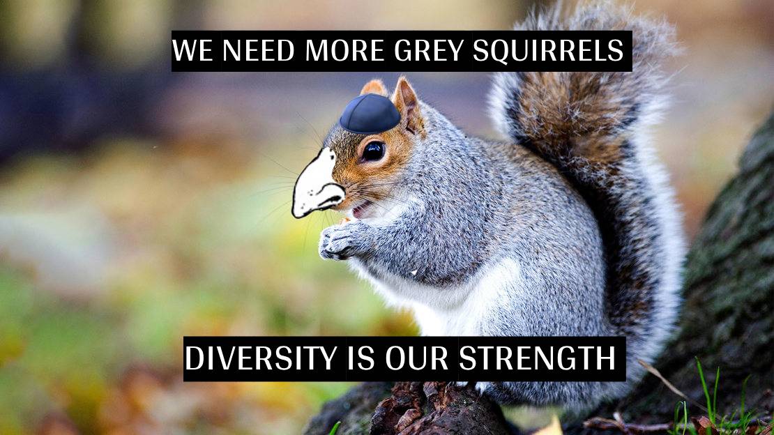 Ｊｏｓｈ tweet media