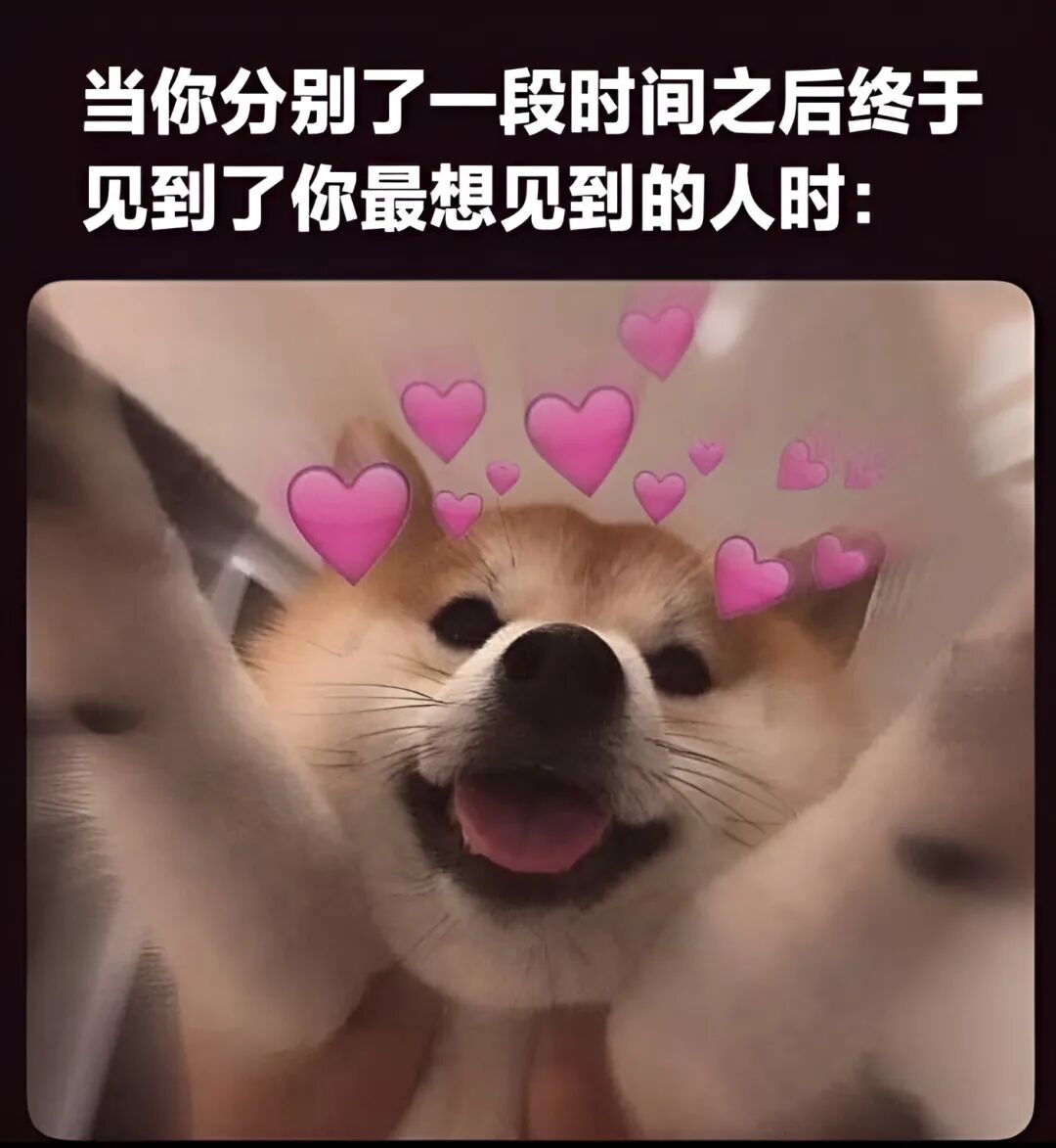 李李 tweet media