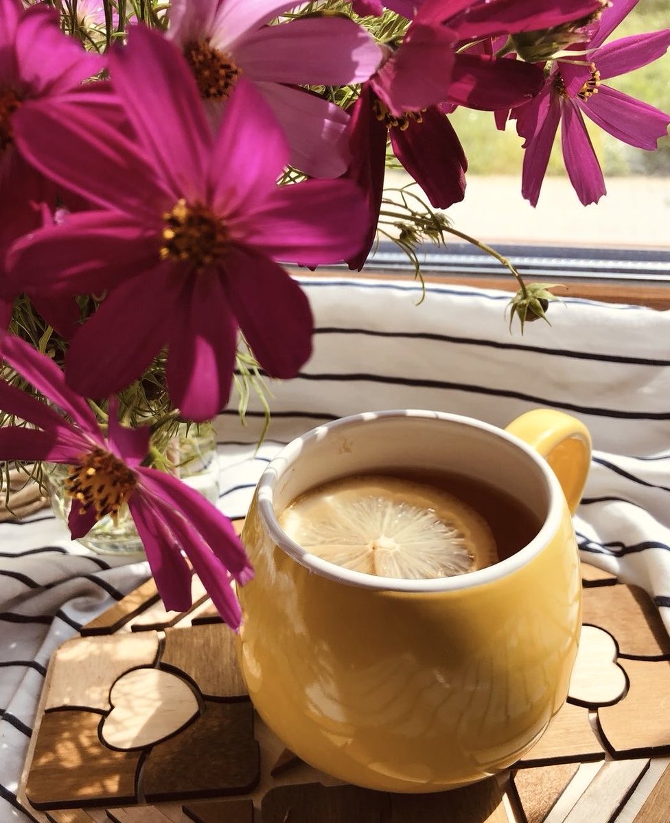 MarinaIxtapa's tweet image. #teatime 🌺😊
📷Pinterest