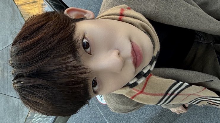 มะด้วง tweet media