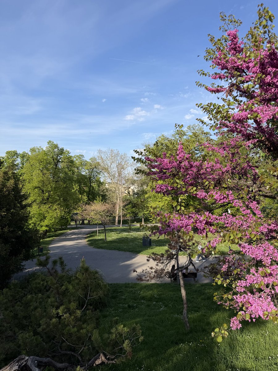 FanSte_10's tweet image. A P R I L #belgrade #serbia #kalemegdan