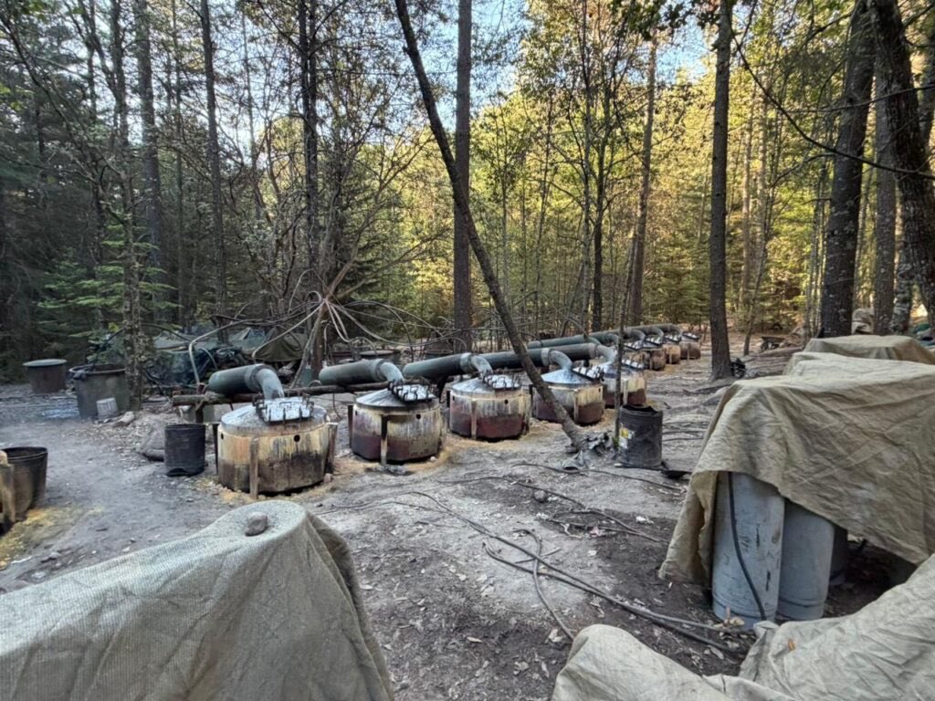 Alejandro Moreno tweet media