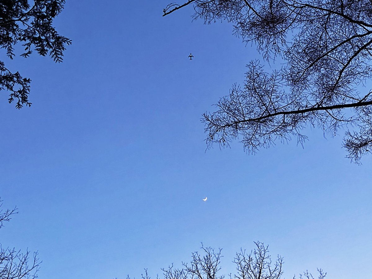 SkinnyAtlasMsic's tweet photo. Moon pics from 4.20.26 with one of my new releases currently out on all streaming platforms “Graboids”. 

https://t.co/WunFjrr77M

#moon #moonpics #moonphotography #moonshine https://t.co/v2iL6nkWUw