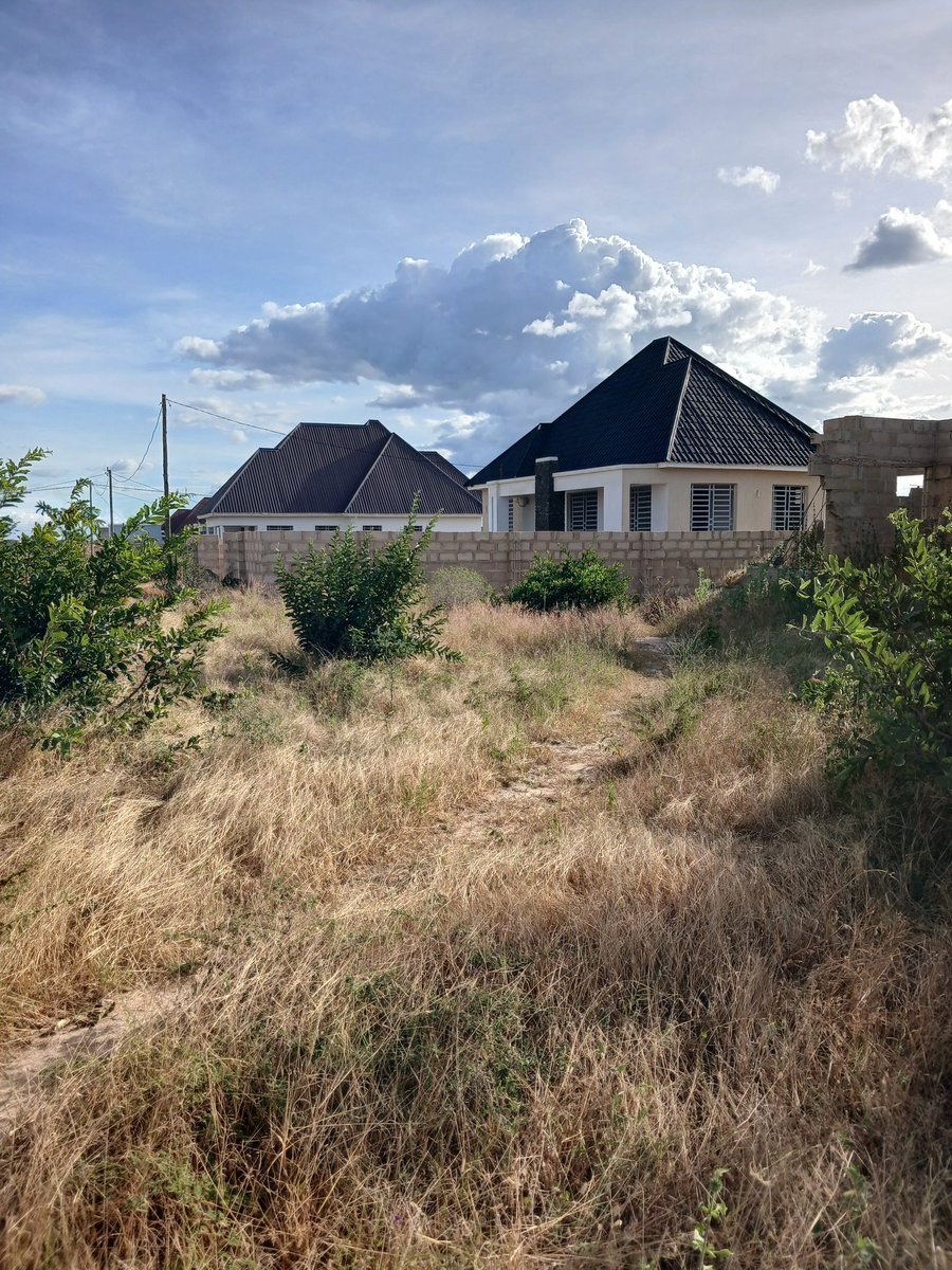 wekeza Dodoma tweet media