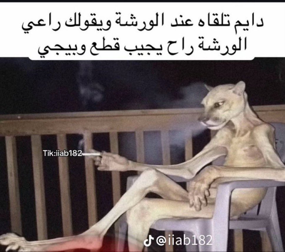 عباس tweet media