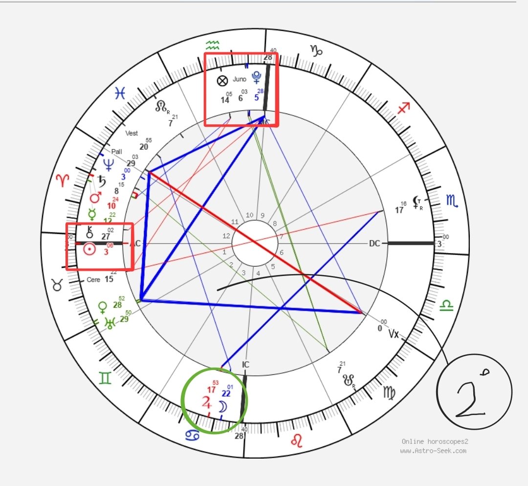 Ali Mostofi علی مستوفی tweet media