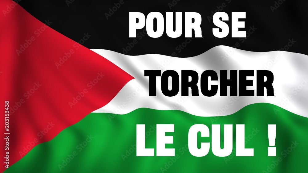 Plipli Chris tweet media