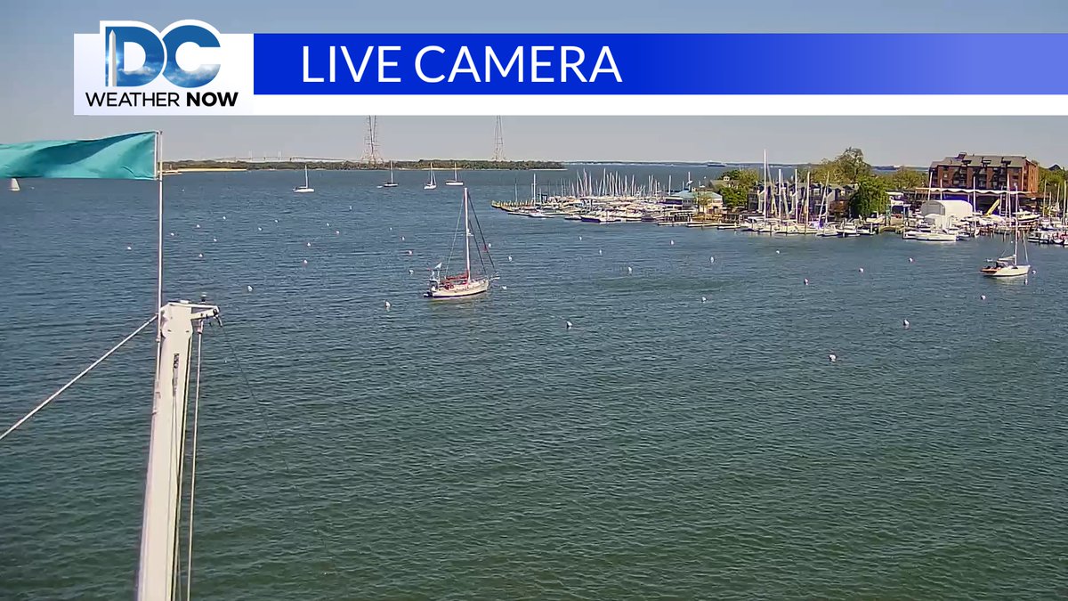 Scott Sumner tweet media