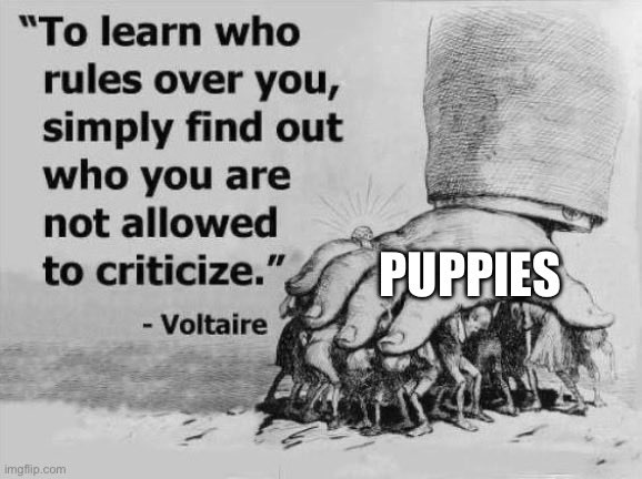 aoife 🎧🌸🏳️‍🌈 tweet media