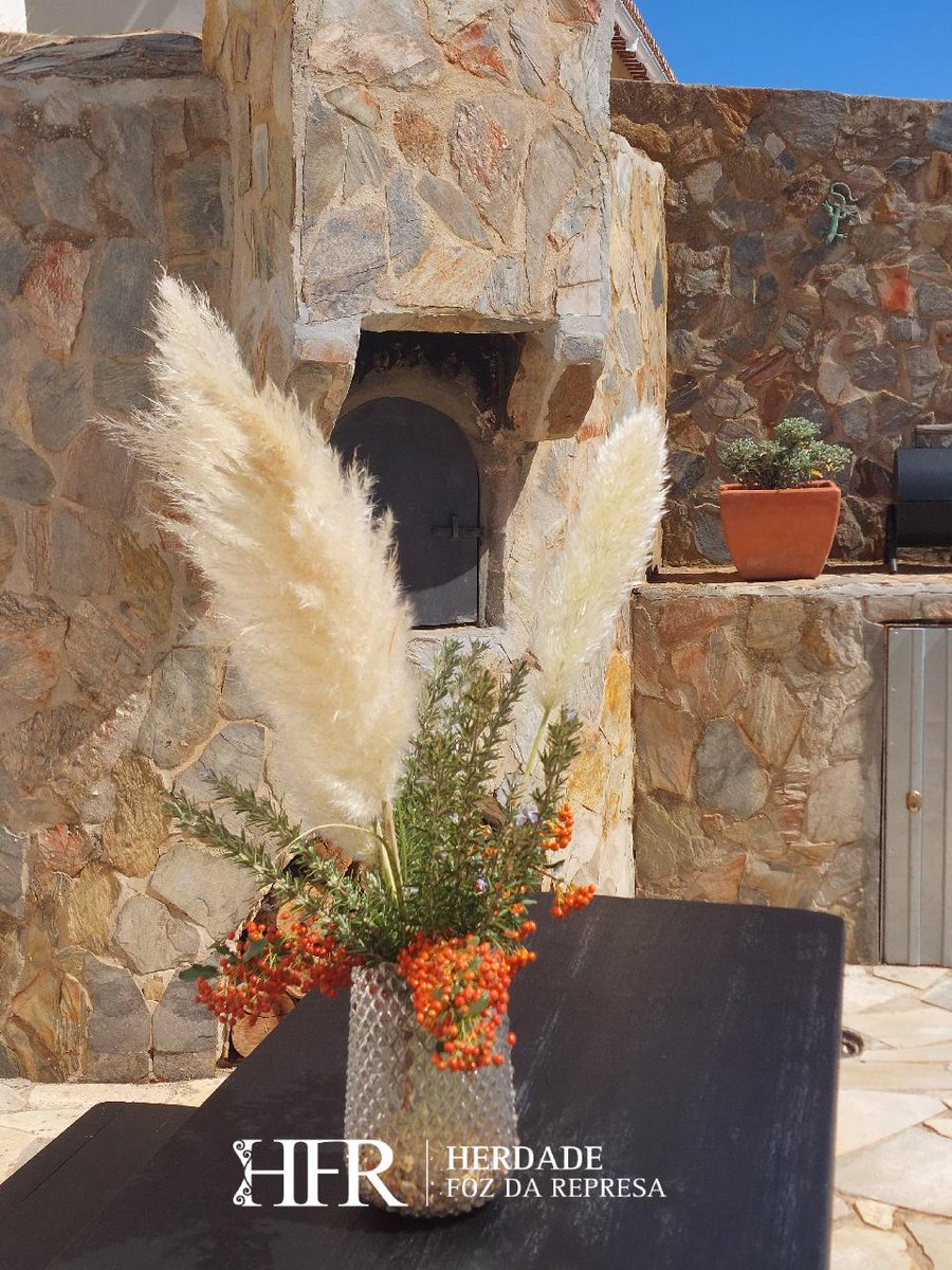 HerdadeFozdaRep's tweet image. There is a lot to see in every corner

HerdadeFozDaRepresa.com 

#Decor #Beja