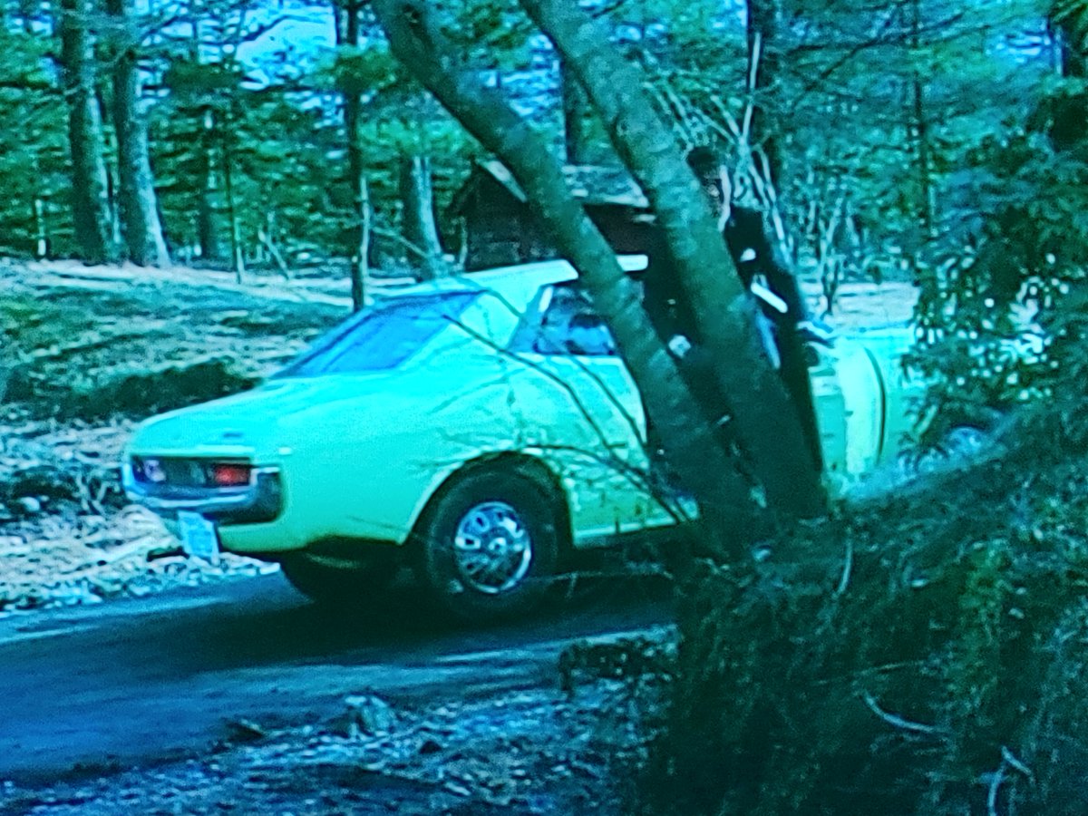 ドラ息子 tweet media