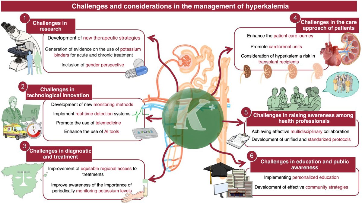 RevEspCardiol's tweet image. Current insights and challenges in the management of hyperkalemia #REC @Carol_O_C  revespcardiol.org/en-current-ins…