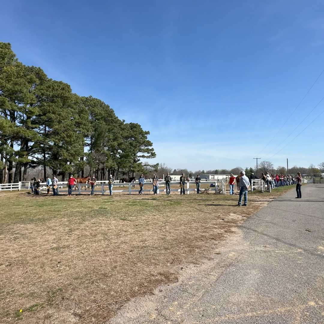 farmcreditsemo's tweet image. The Mississippi County Branch was happy to provide water for the FFA Area Horse Judging CDE held at El Tomaria Farm. FFA students from the surrounding area spent the day participating in the CDE contest. We are proud to support FFA students! #HorseJudging #FFA #FarmCredit