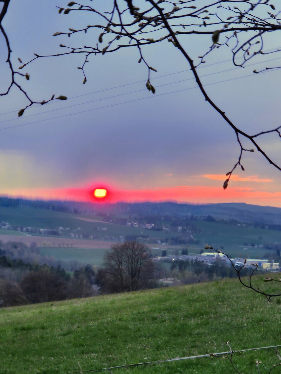 Mark Bystriansky tweet media