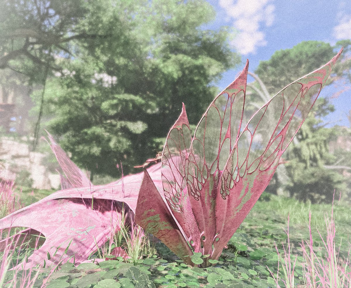 ⋆.ೃ࿔🌸*:･ tweet media