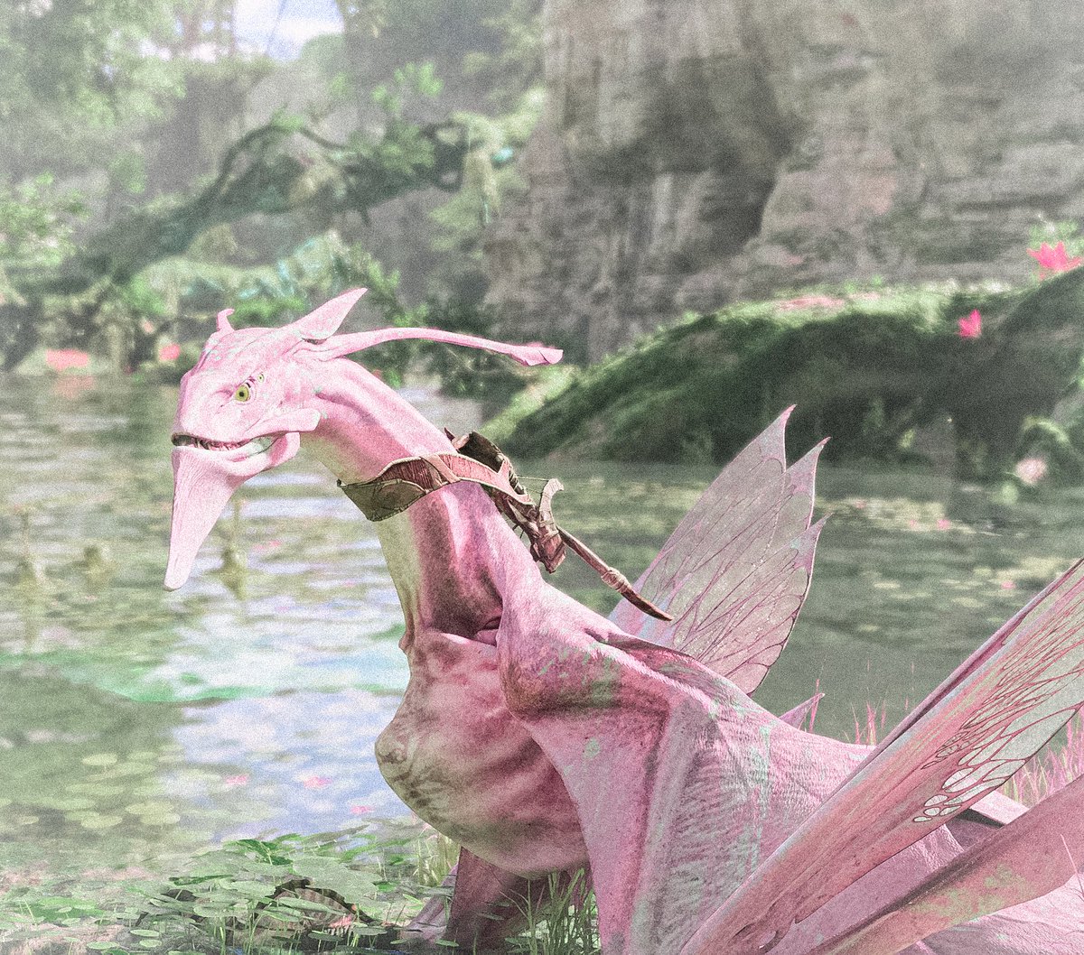 ⋆.ೃ࿔🌸*:･ tweet media