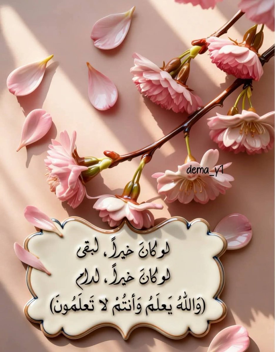 Roda mohamed (@rodamohamed1979) on Twitter photo 