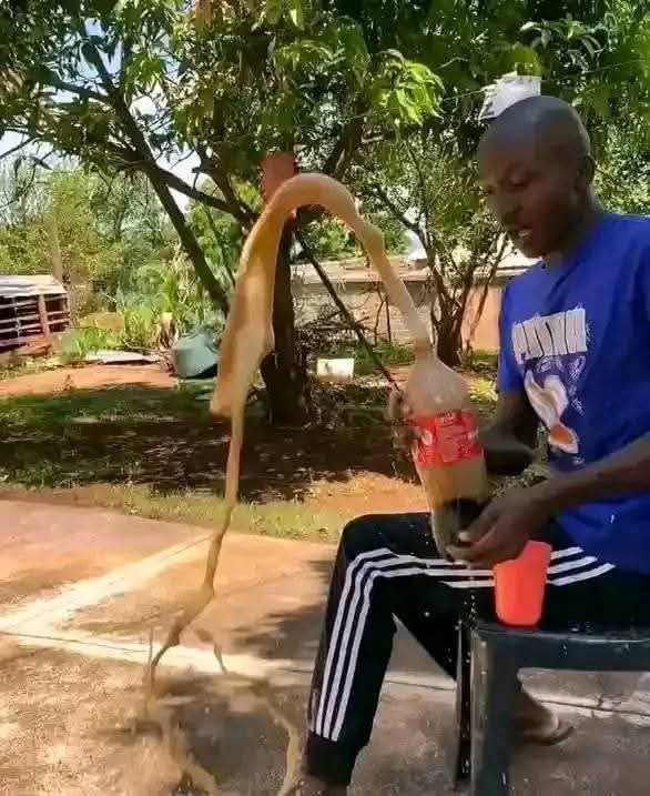 Willis iTech🇰🇪 tweet media