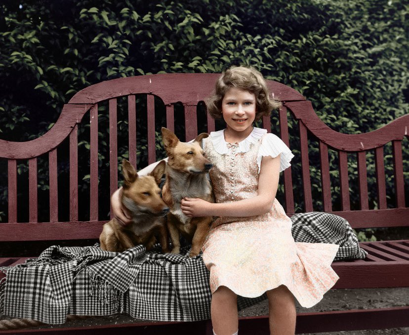 Nancy Sidley tweet media