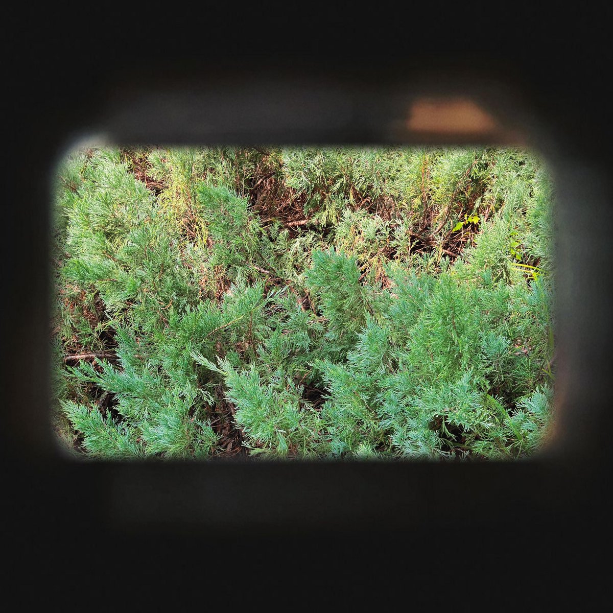 Mattia Borghi tweet media