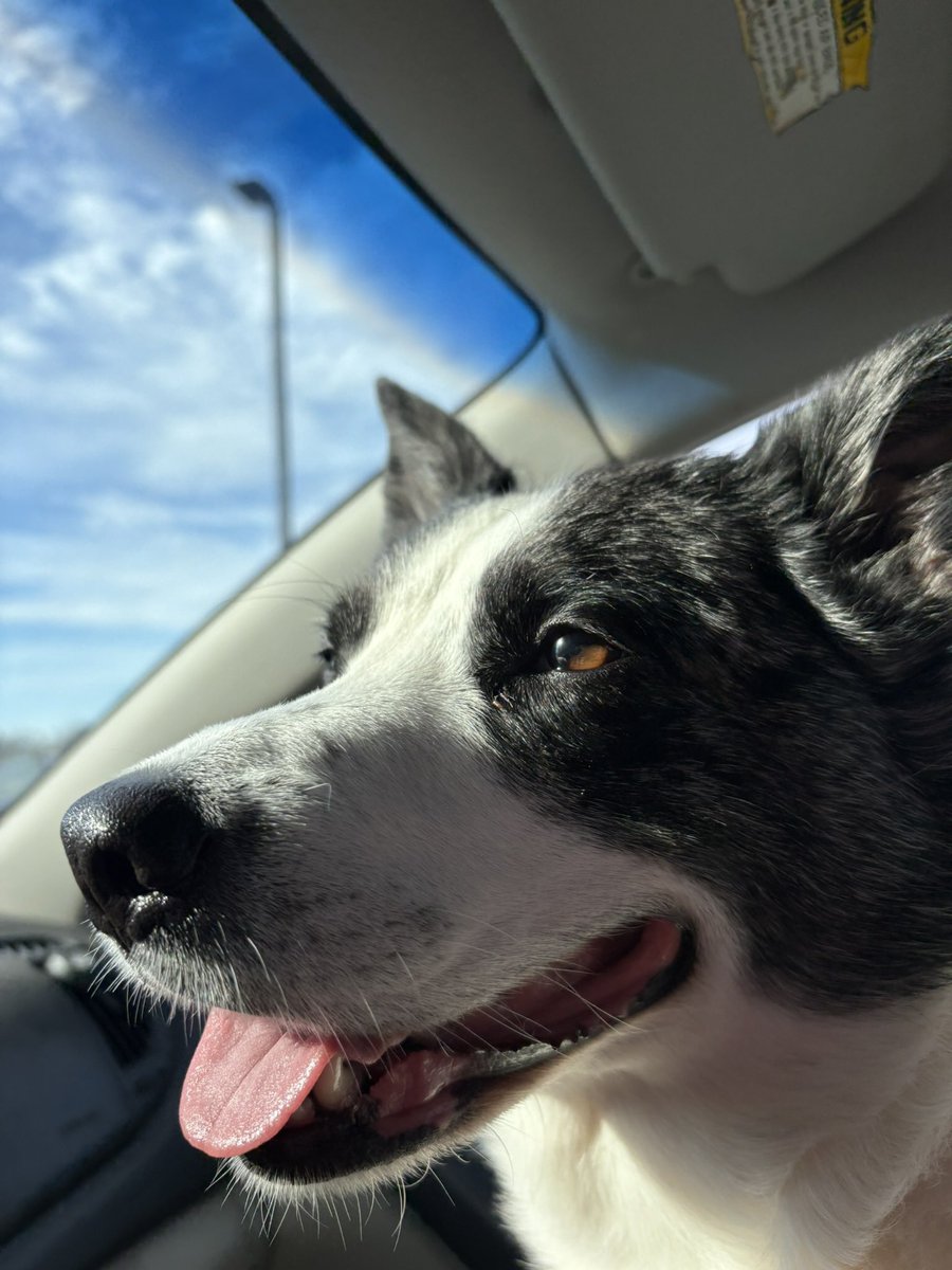 𝑀𝑜𝓂𝓂𝓎 𝐿𝒾𝓁𝒾 ᥫ᭡ tweet media