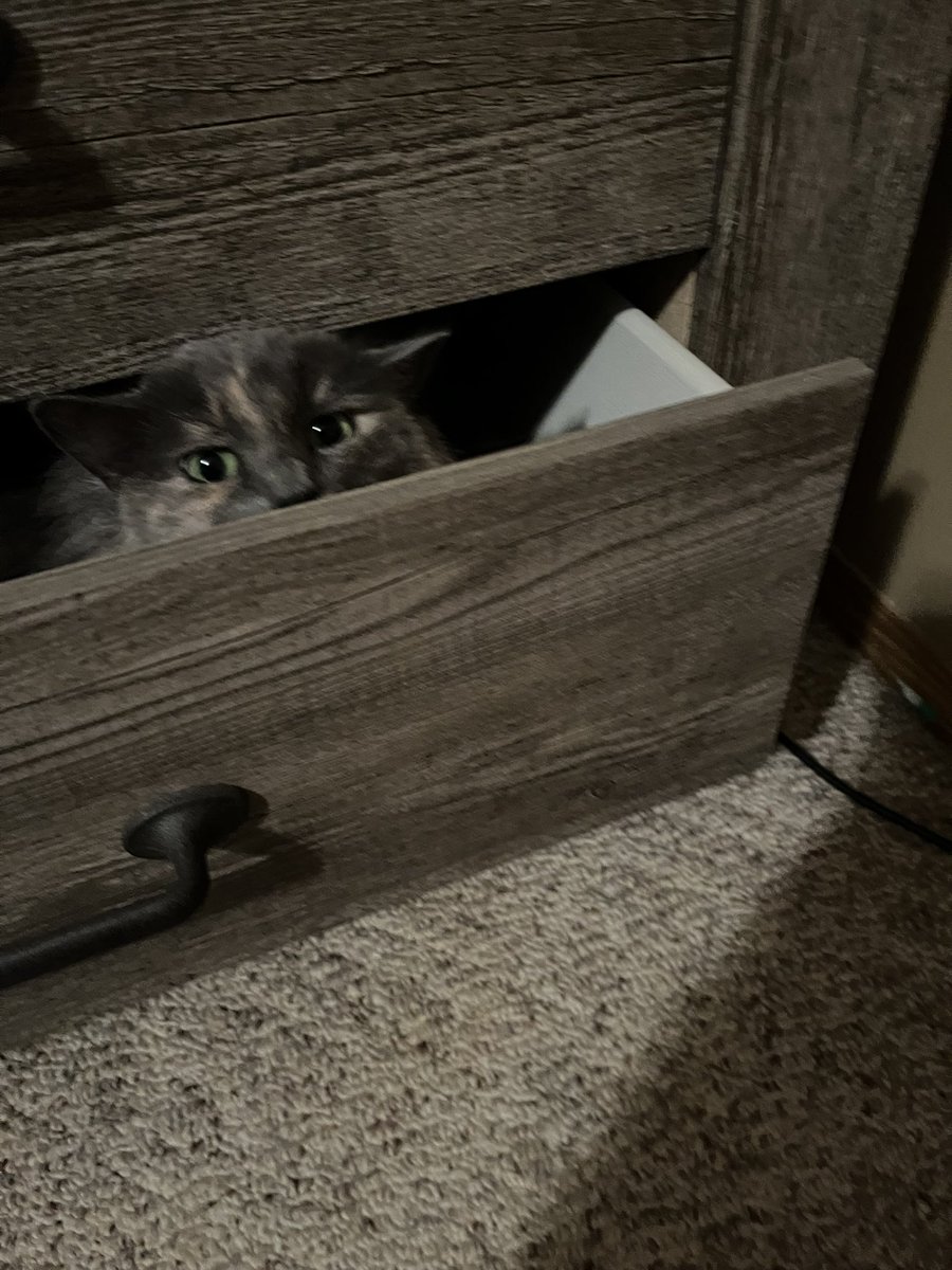 𝑀𝑜𝓂𝓂𝓎 𝐿𝒾𝓁𝒾 ᥫ᭡ tweet media