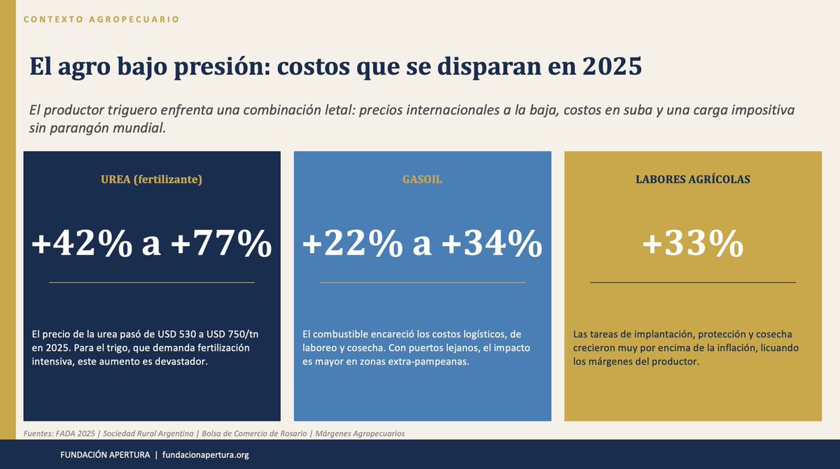 Juan Felix Rossetti tweet media