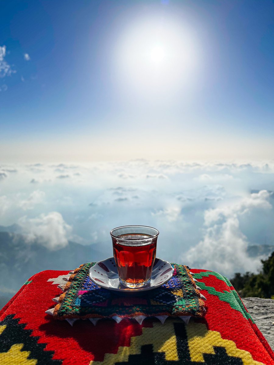 Aseel Swaid tweet media