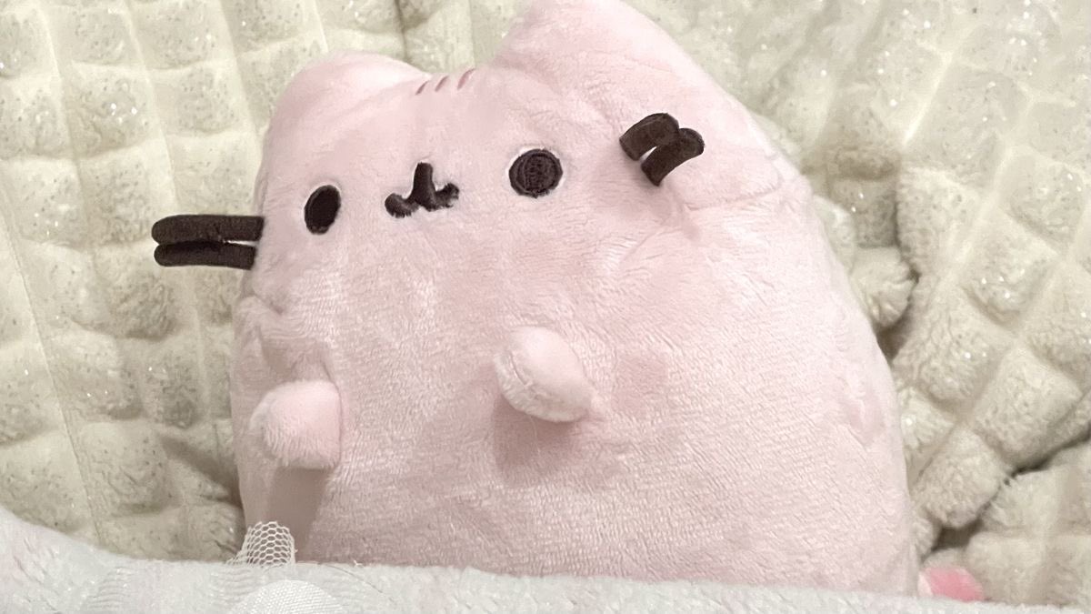 ଘ(੭*ˊᵕˋ)੭* ੈ♡‧₊˚ tweet media