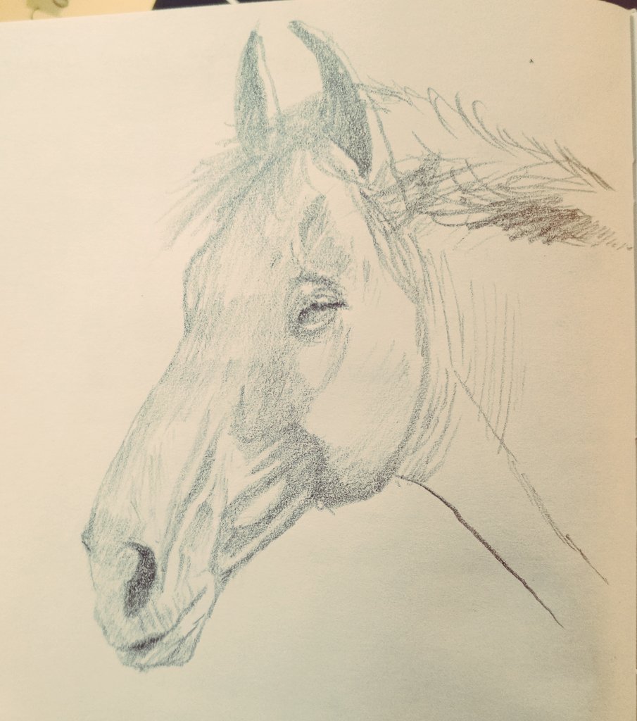 The Roots of Day tweet media