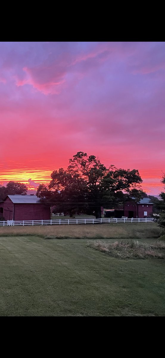 Trailer Park 'Ndustries tweet media