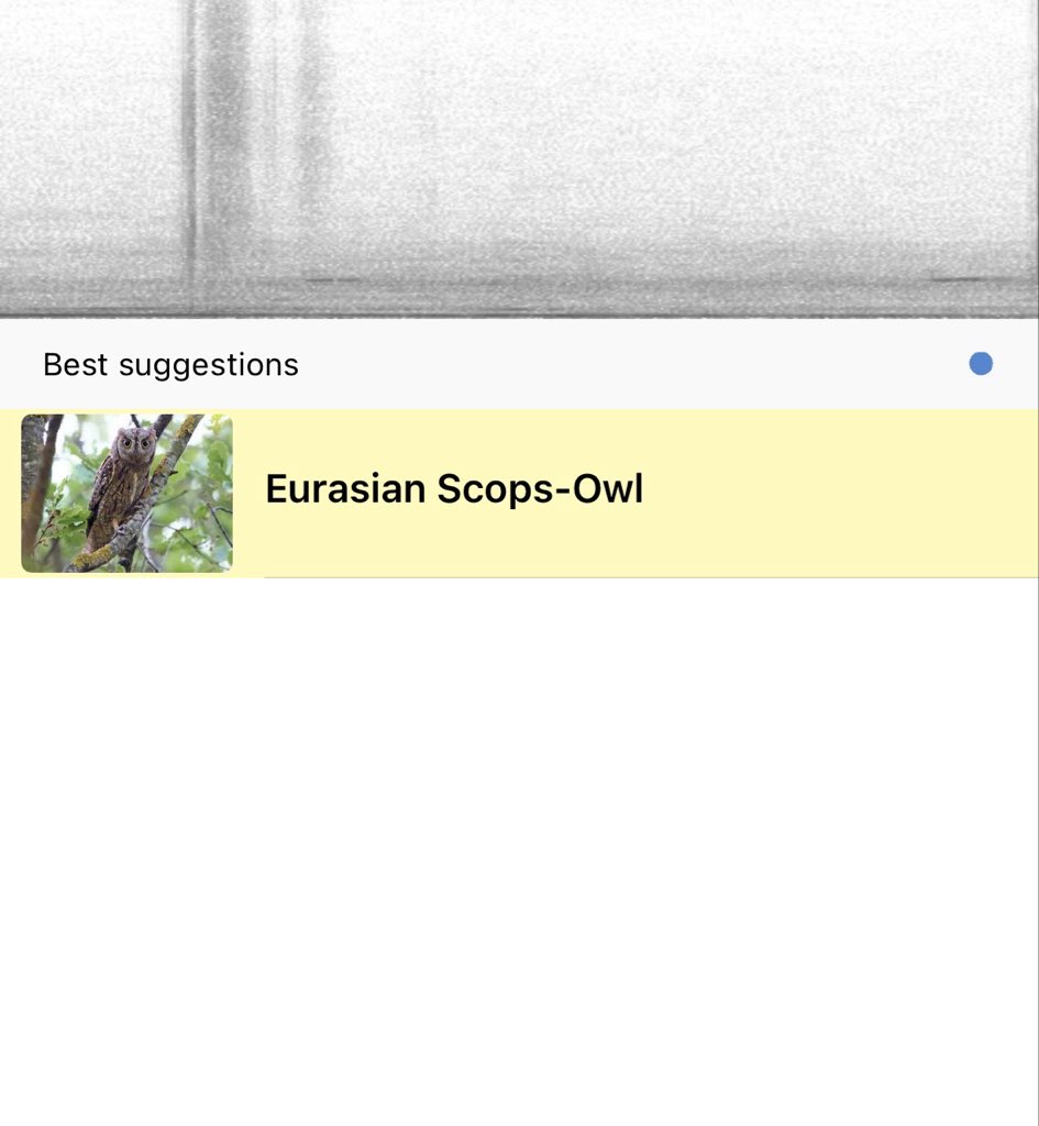 Michael Vokabre tweet media