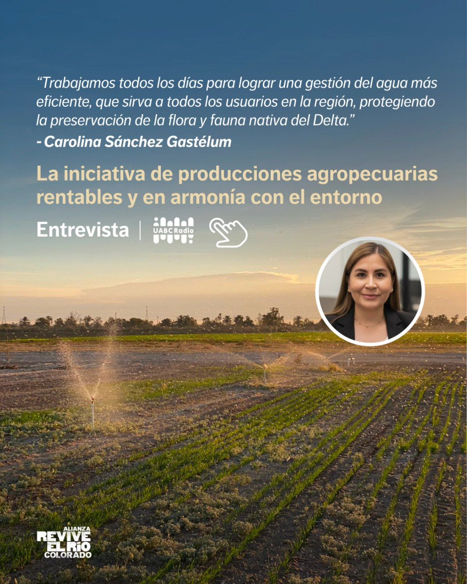ReviveelRio tweet media
