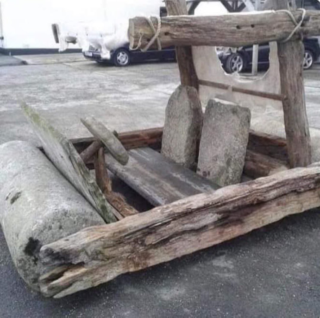 Swedish Canary 🇺🇸🇸🇪 tweet media