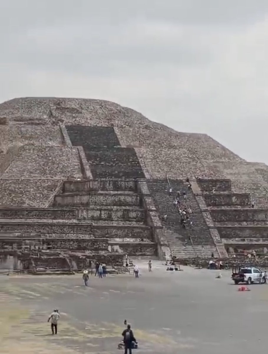 Lang Dominique tweet media