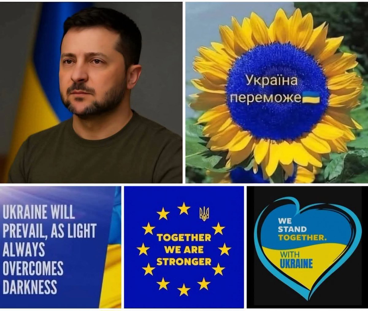 Sunflower 980 🇪🇺 ☮️🌍 tweet media