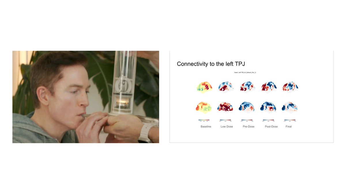 Bryan Johnson tweet media