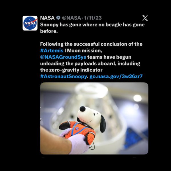 Whale Insider tweet media